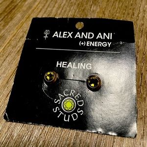 Alex and Ani Healing Earrings
